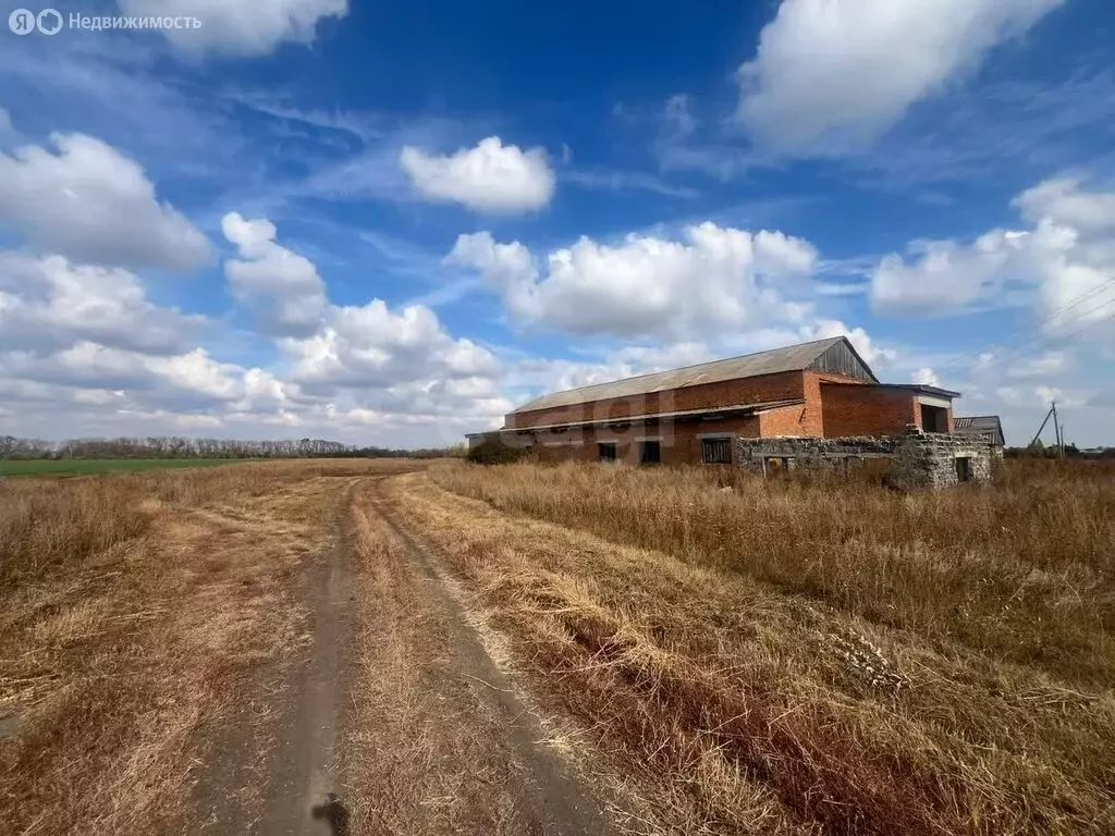 Производственное помещение (400 м) - Фото 2