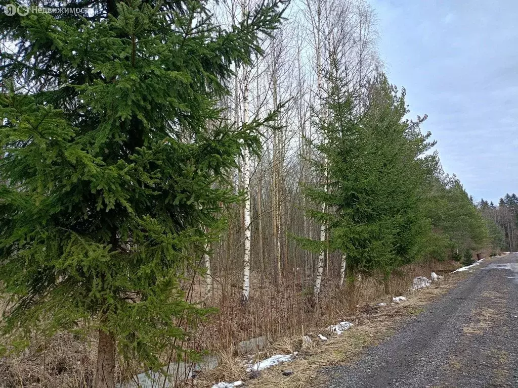 Участок в Кировский район, Отрадненское городское поселение, СНТ ... - Фото 1