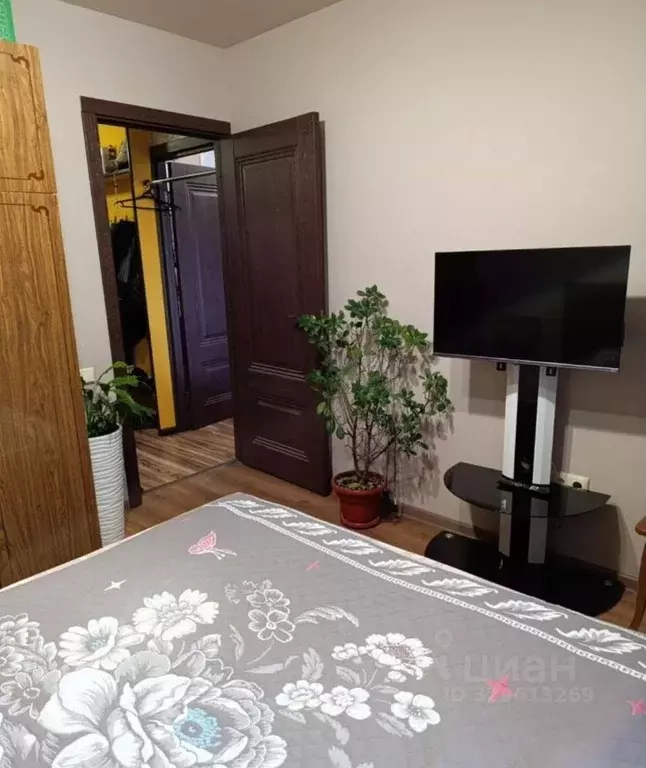 2-к кв. Адыгея, Майкоп ул. Димитрова, 18 (34.7 м) - Фото 1