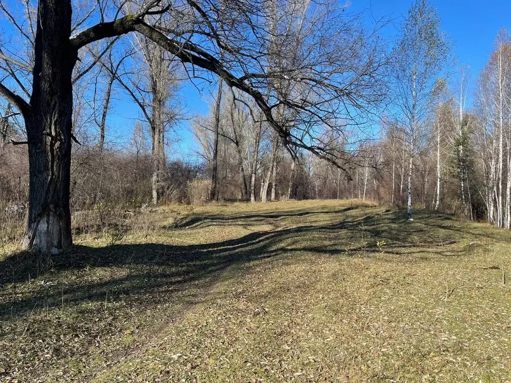 Участок в Алтайский край, Барнаул  (16.0 сот.) - Фото 1