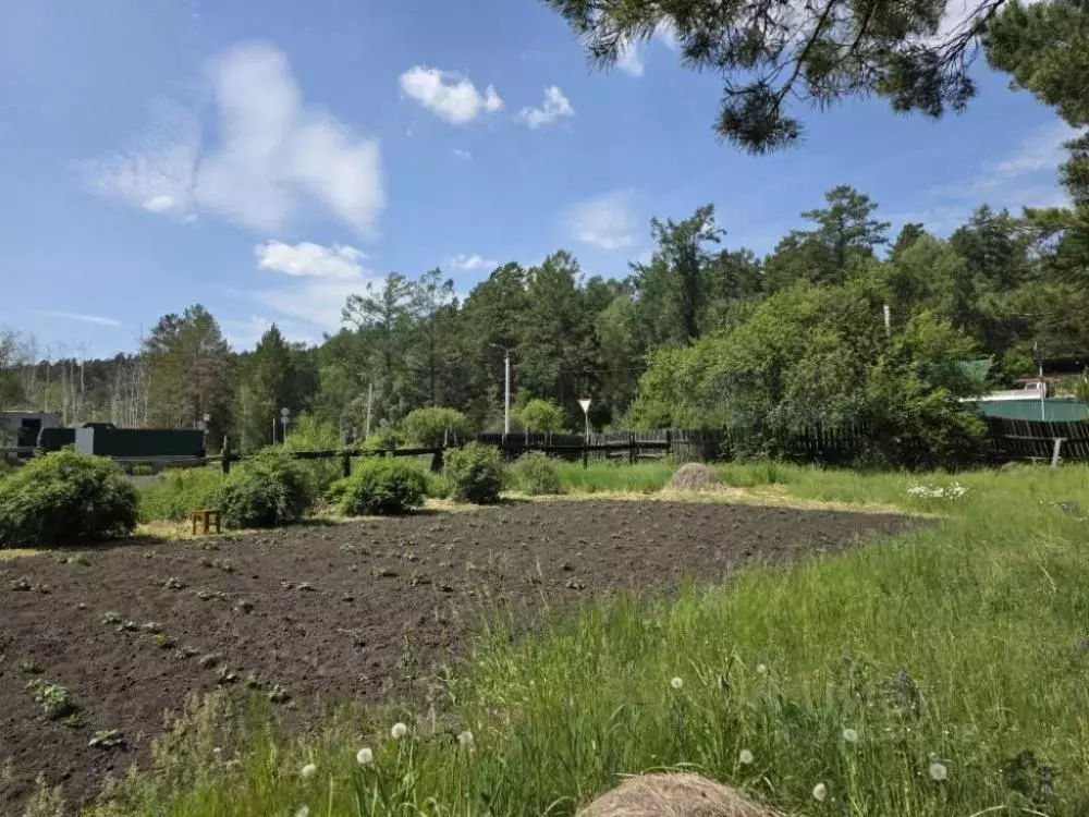 Участок в Иркутская область, Иркутск Светлый СНТ,  (9.0 сот.) - Фото 2