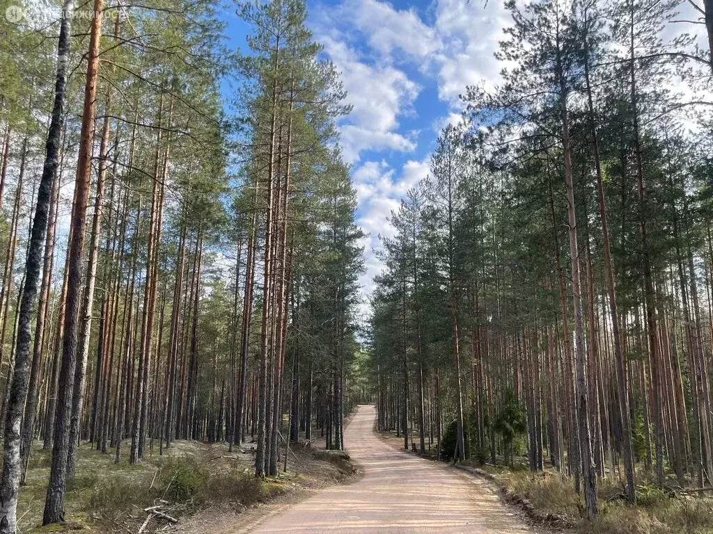 Дом в Выборгский район, Рощинское городское поселение, посёлок при ... - Фото 0