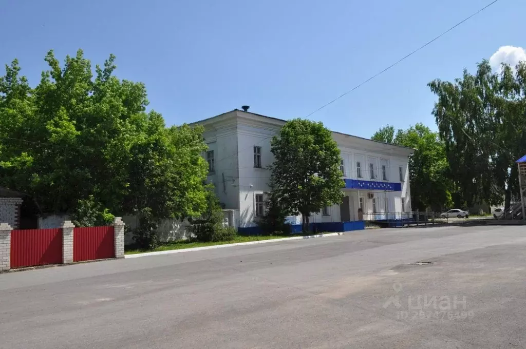 Помещение свободного назначения в Ульяновская область, Вешкайма рп ул. ... - Фото 1