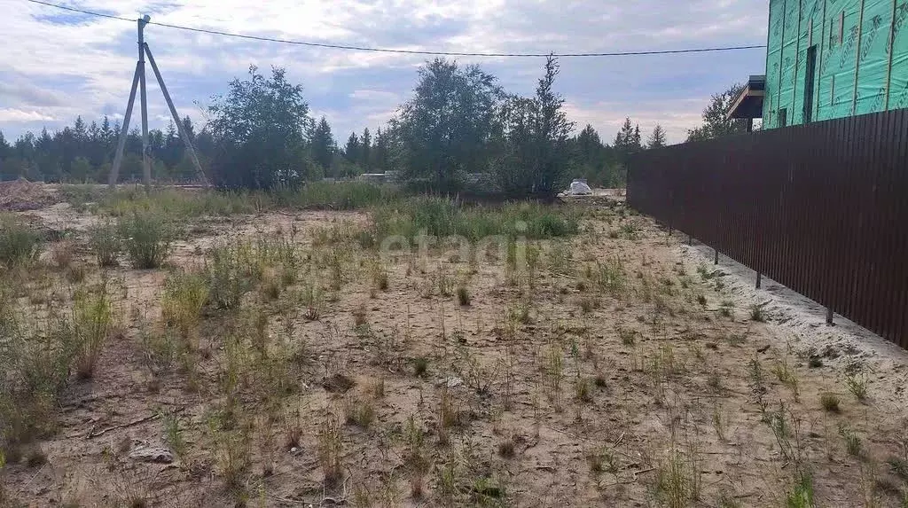 Участок в Ямало-Ненецкий АО, Новый Уренгой ул. Саврасова, 19 (6.0 ... - Фото 1