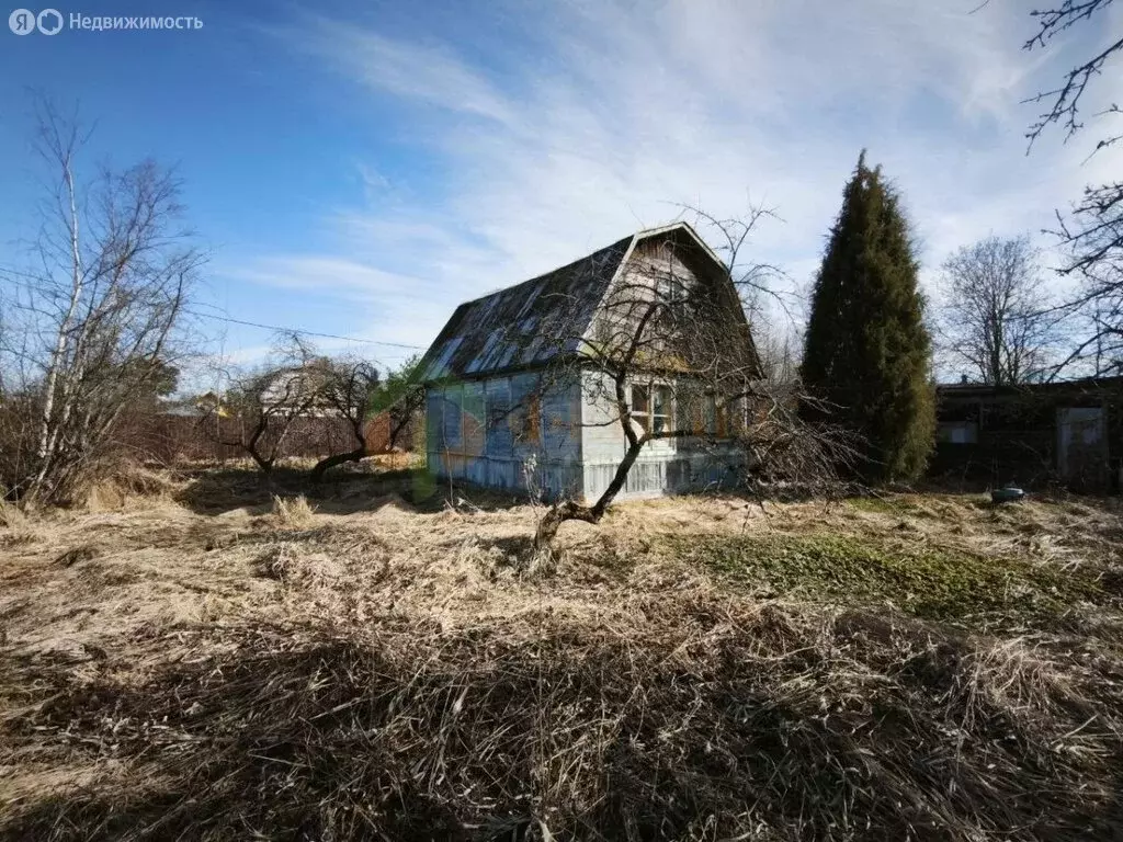 Участок в Кировский район, Синявинское городское поселение, ... - Фото 1