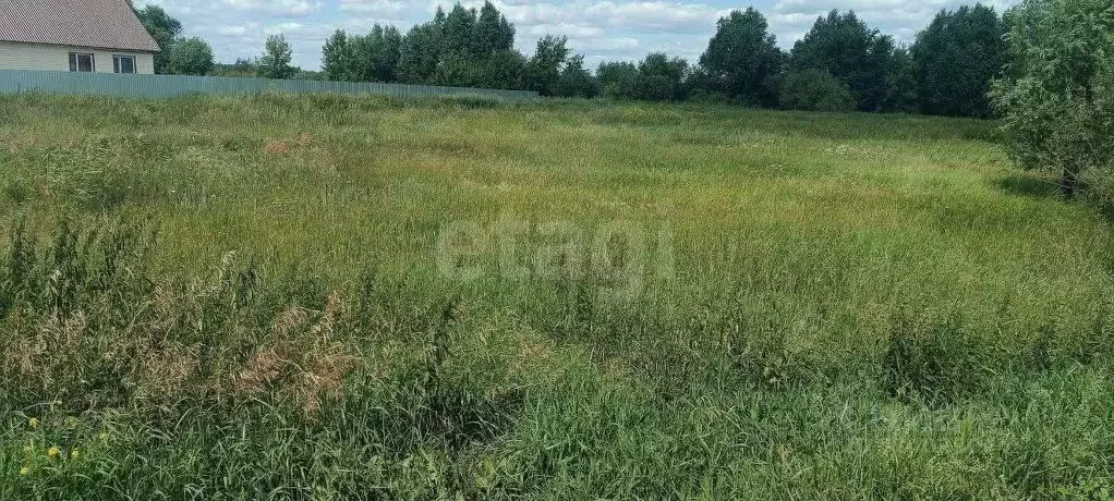 Участок в Курганская область, Кетовский муниципальный округ, с. ... - Фото 1