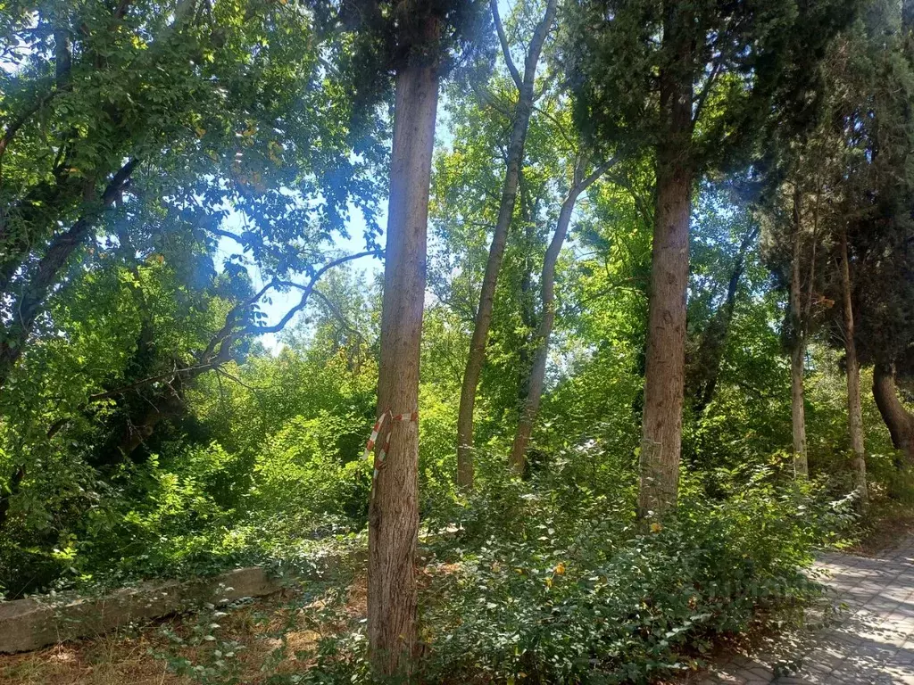 Участок в Крым, Ялта муниципальный округ, Массандра пгт ул. ... - Фото 2