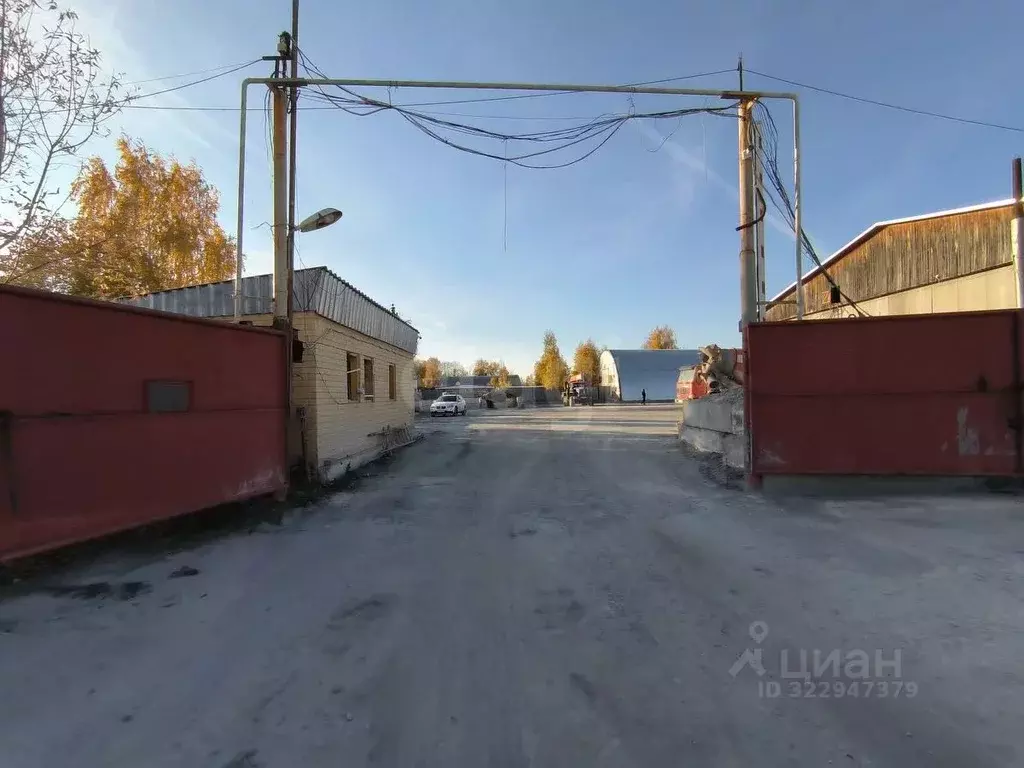 Склад в Тюменская область, Тюмень ул. Бабарынка, 56А (997 м) - Фото 1