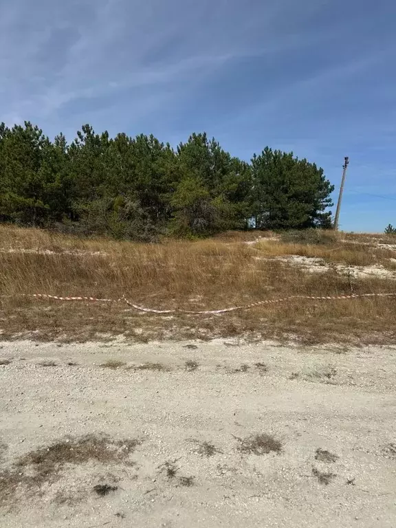 Участок в Крым, Бахчисарайский район, Скалистовское с/пос, Чаир ДСК  ... - Фото 1