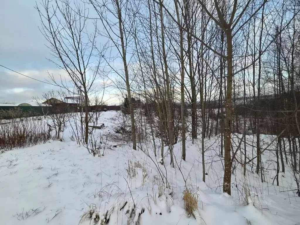 Участок в Московская область, Сергиево-Посадский городской округ, д. ... - Фото 2