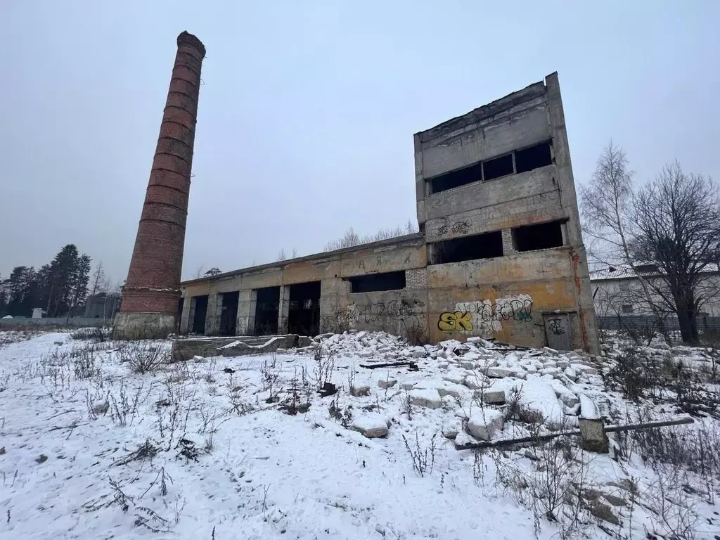 Участок в Ленинградская область, Сертолово Всеволожский район, Черная ... - Фото 1