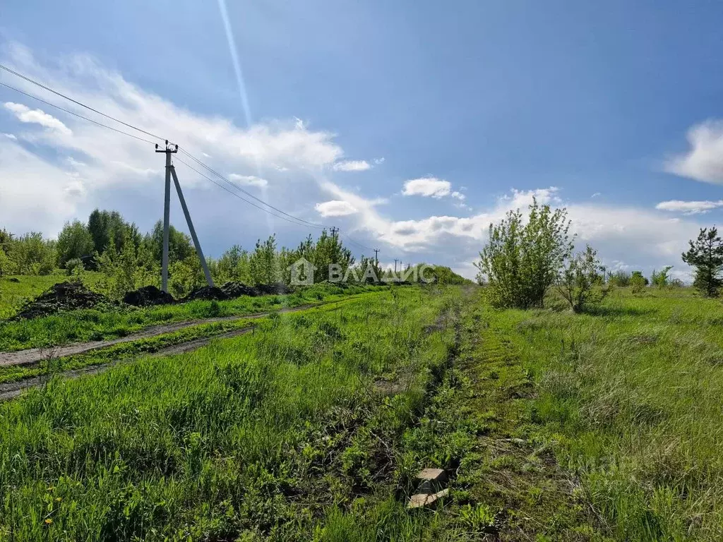 Участок в Пензенская область, Пенза пос. Совхоз Заря,  (8.0 сот.) - Фото 2