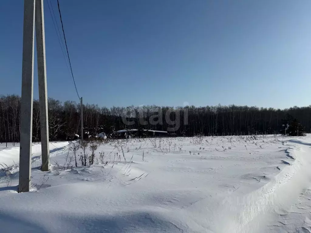 Участок в Тульская область, Алексин городской округ, с. Бунырево ул. ... - Фото 1