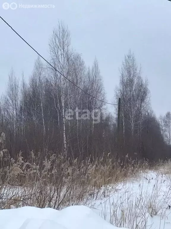 Участок в Нижнетавдинский район, садовое товарищество Моторостроитель, ... - Фото 0