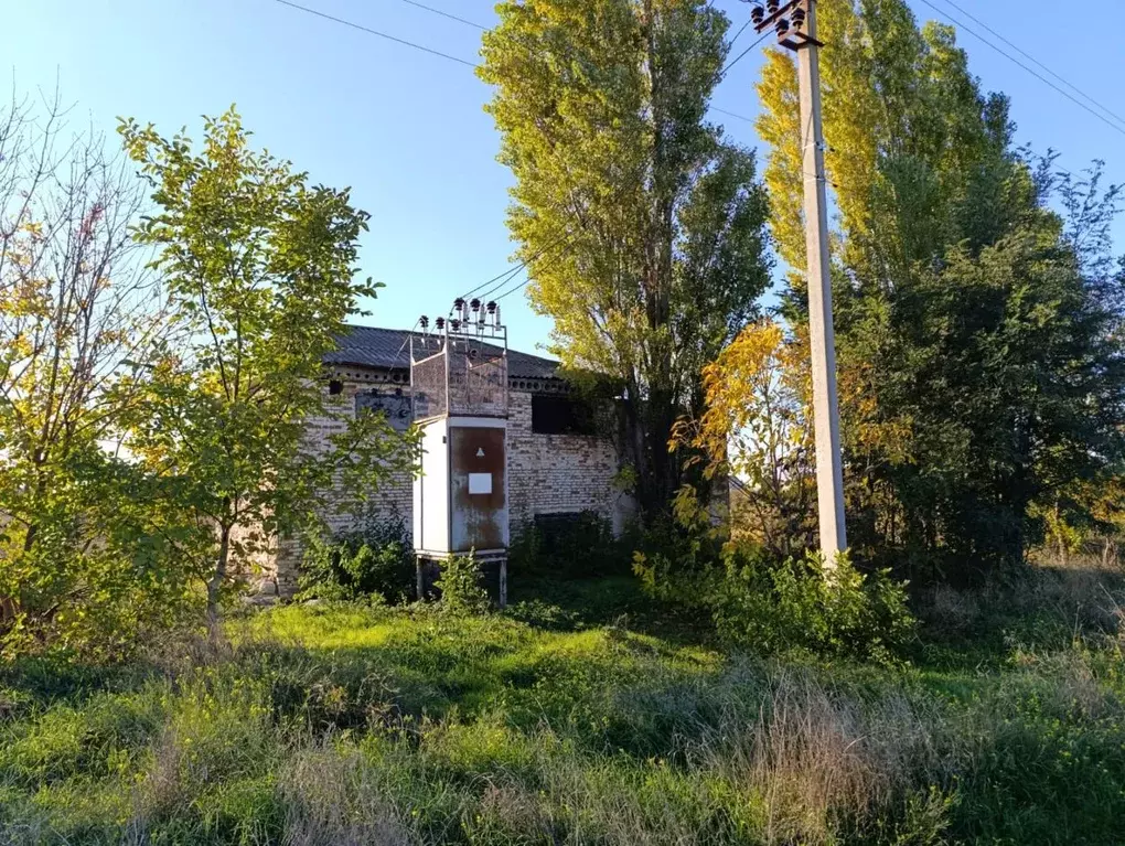 Участок в Краснодарский край, Темрюкский район, Краснострельское ... - Фото 2