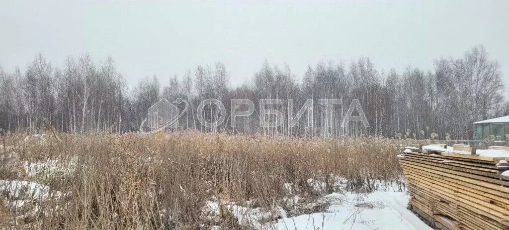 Участок в Тюменская область, Тюмень Автомобилист СНТ, ул. Черемуховая ... - Фото 0