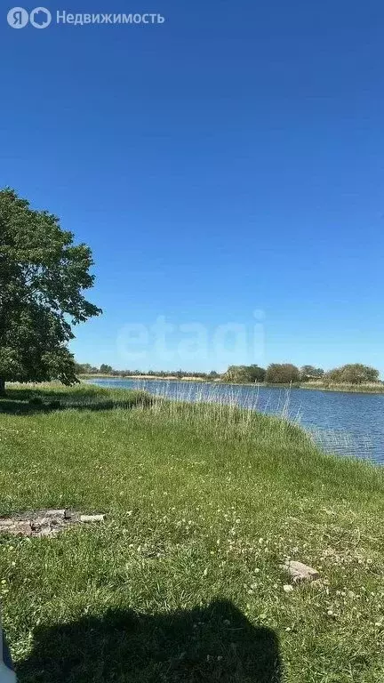 Участок в хутор Рогожкино, Степная улица (7.74 м) - Фото 0