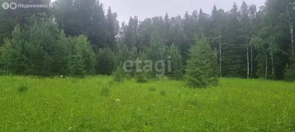 Участок в Свердловская область, городской округ Нижний Тагил, посёлок ... - Фото 0