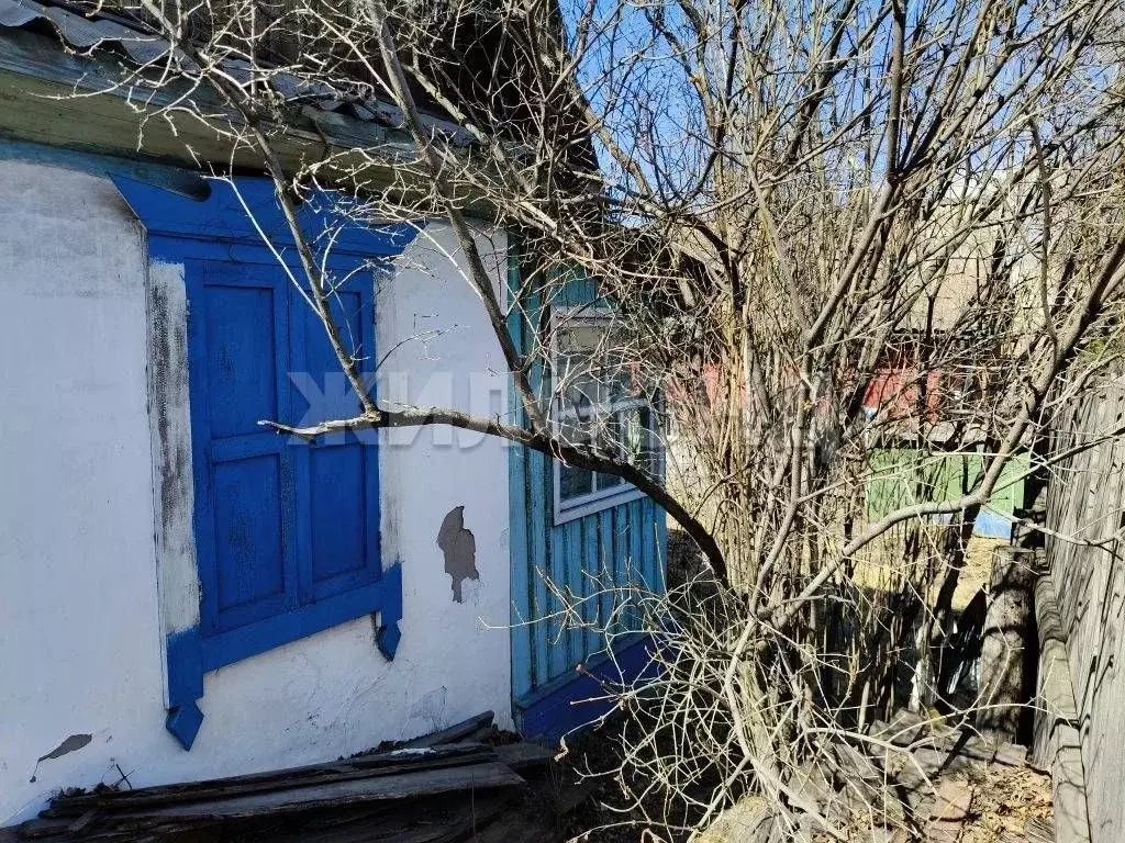 Дом в Хакасия, Абакан Сосновая ул. (21 м) - Фото 2