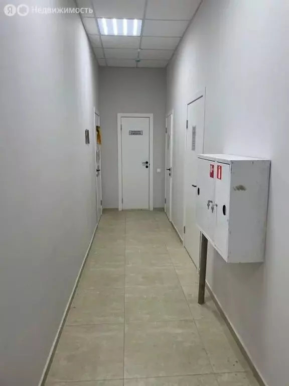 Торговая площадь (23.9 м) - Фото 1