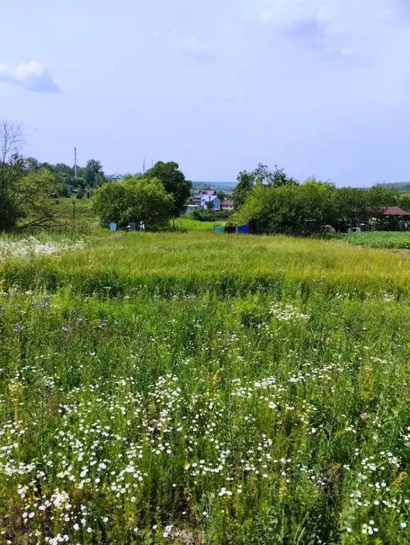 Участок в Тульская область, Богородицкий район, Товарковское ... - Фото 0