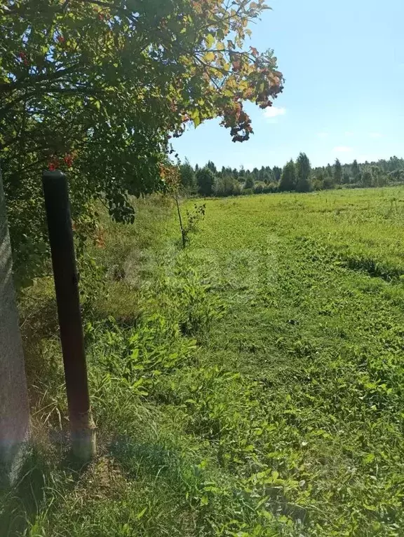 Участок в Псковская область, Печорский муниципальный округ, д. Кулиско ... - Фото 1