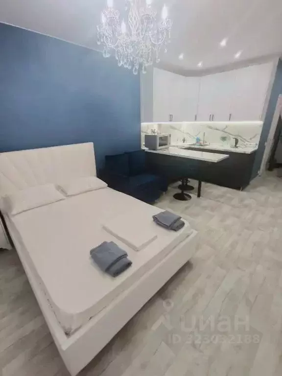 Студия Московская область, Старая Купавна Богородский городской округ, ... - Фото 1