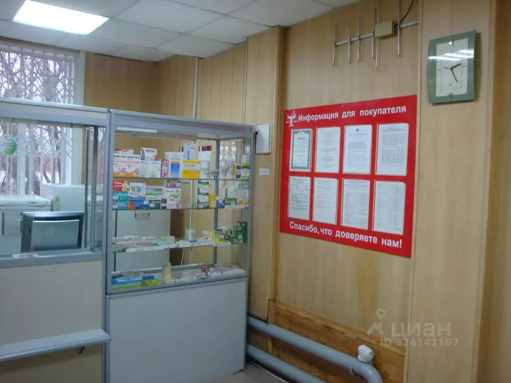 Помещение свободного назначения в Пермский край, Чернушка ... - Фото 1