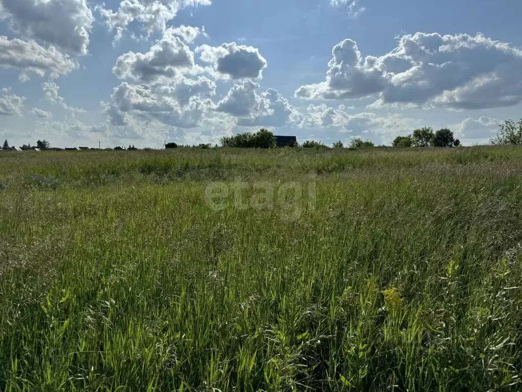 Участок в Мордовия, Саранск городской округ, с. Напольная Тавла ул. ... - Фото 1