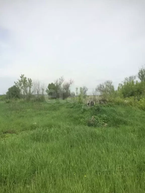 Участок в Белгородская область, Ровеньки городское поселение, Озерный ... - Фото 1