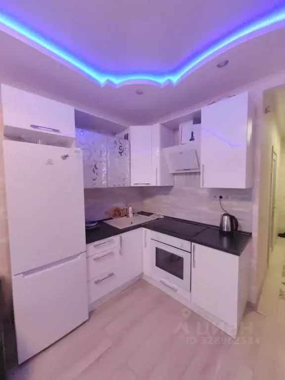 Студия Московская область, Долгопрудный Старое Дмитровское ш., 17 ... - Фото 1