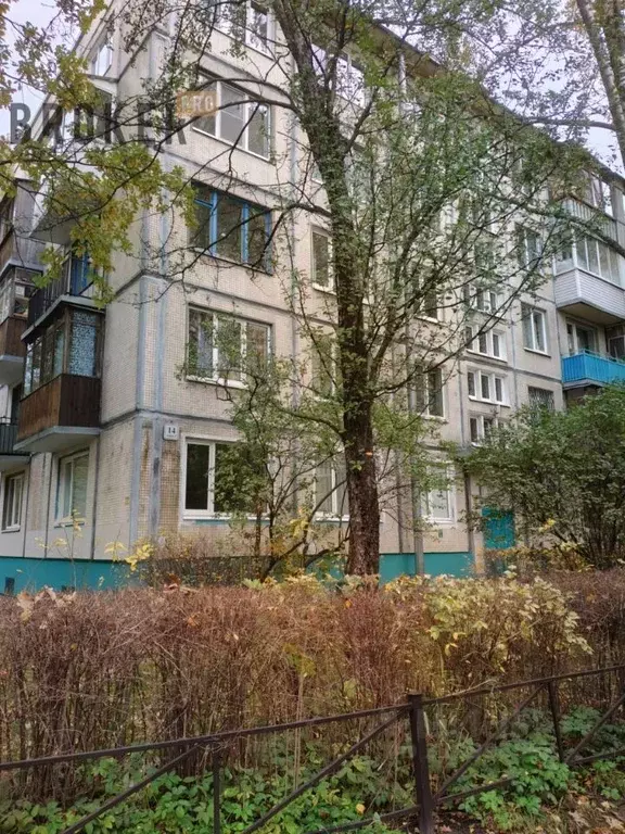 1-к кв. Санкт-Петербург ул. Верности, 14К3 (31.1 м) - Фото 0