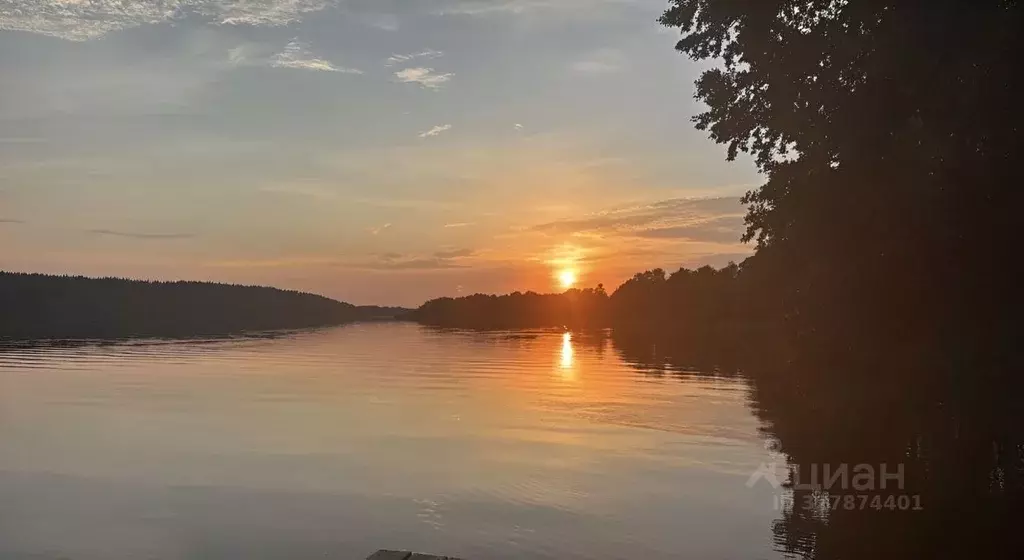 Участок в Ленинградская область, Выборгский район, Полянское с/пос, ... - Фото 2
