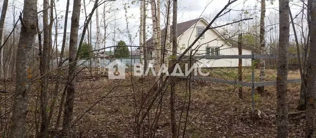 Участок в Карелия, Прионежский муниципальный район, с. Деревянное  ... - Фото 2