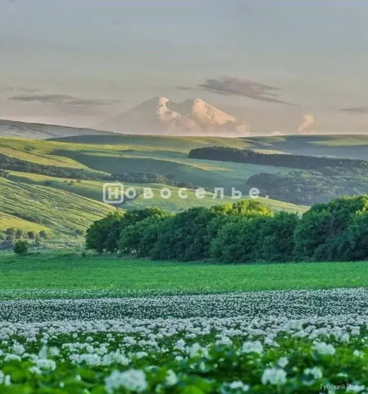 Участок в Ставропольский край, Предгорный муниципальный округ, пос. ... - Фото 1