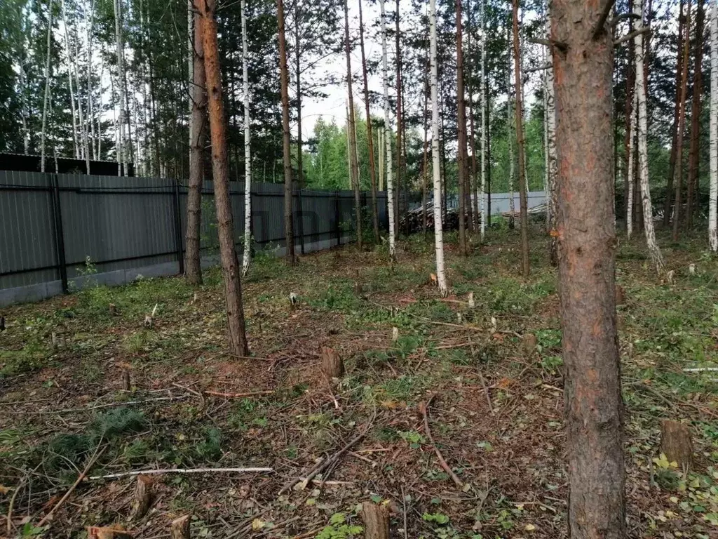 Участок в Свердловская область, Белоярский муниципальный округ, Мешков ... - Фото 1