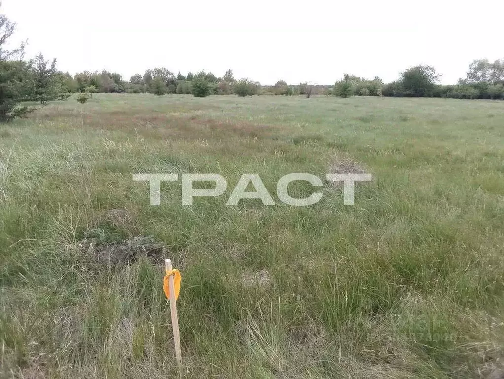 Участок в Липецкая область, Усманский район, Студенский сельсовет, д. ... - Фото 0