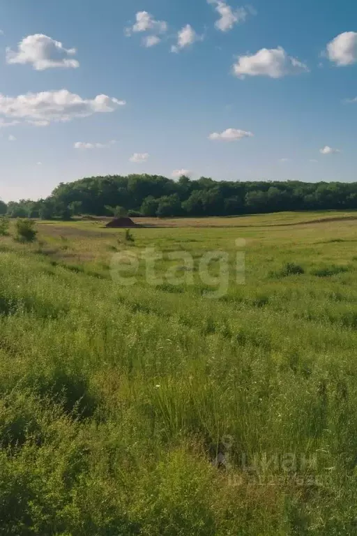 Участок в Амурская область, Благовещенский район, с. Волково  (9.5 ... - Фото 1