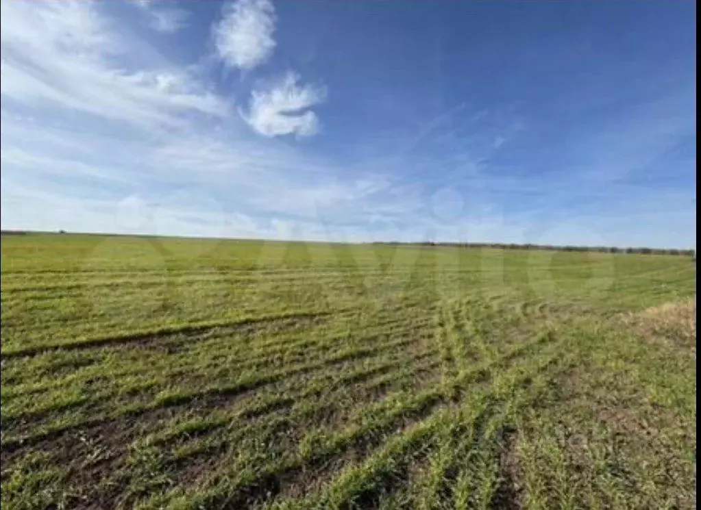 Участок в Чувашия, Моргаушский муниципальный округ, Большесундырское ... - Фото 1