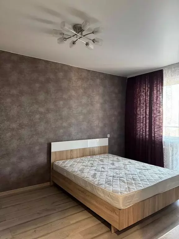 1-к кв. Новосибирская область, Новосибирск ул. Демьяна Бедного, 73/1 ... - Фото 1