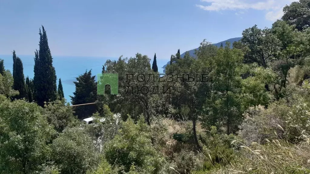 Участок в Крым, Алушта муниципальный округ, с. Кипарисное ул. ... - Фото 2