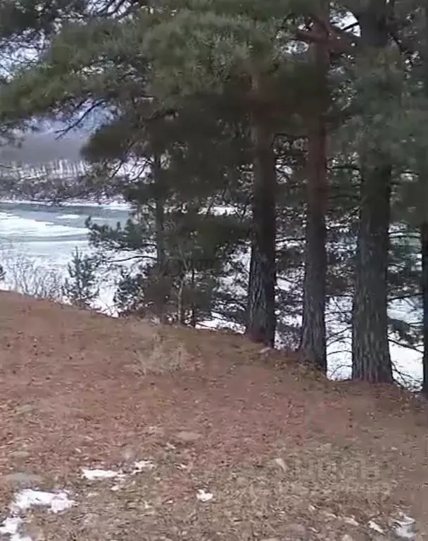 Участок в Алтай, Чемальский район, Элекмонарское с/пос, с. Элекмонар  ... - Фото 2