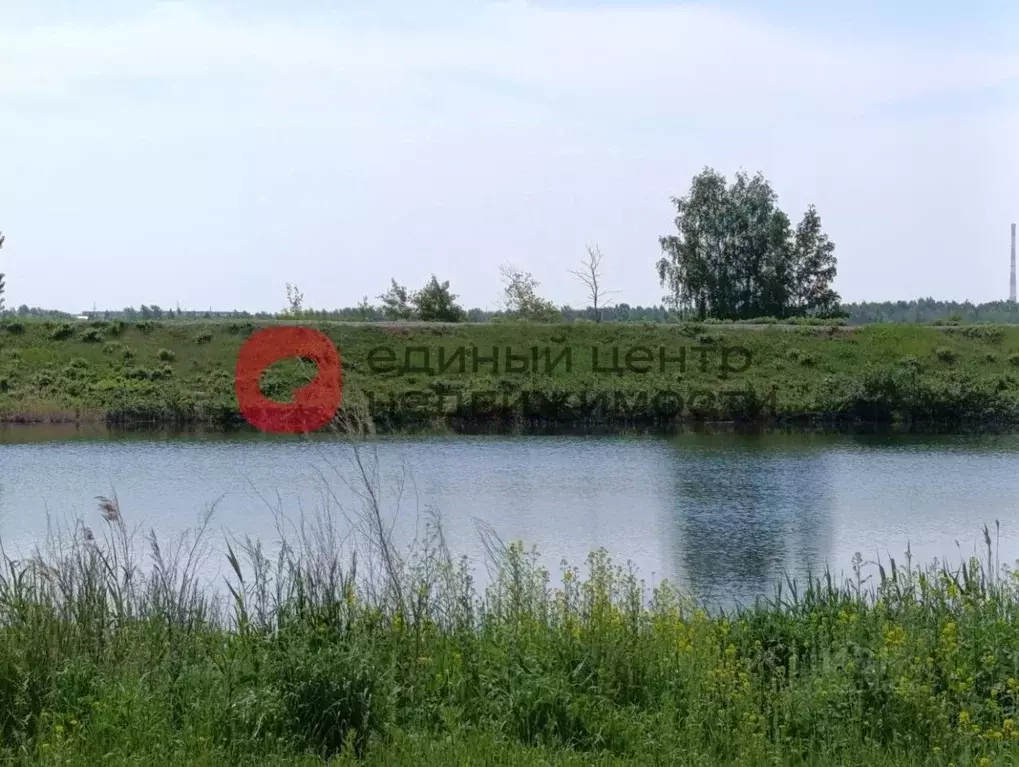 Студия Тюменская область, Тюмень ул. Западносибирская, 22 (31.5 м) - Фото 1