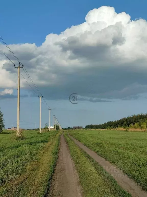 Участок в Тамбовская область, Тамбовский муниципальный округ, пос. ... - Фото 1