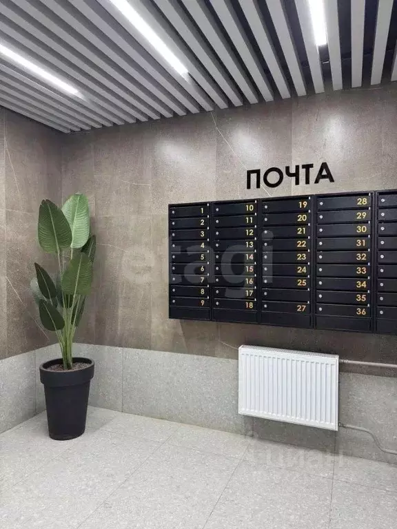 Студия Оренбургская область, Оренбург ул. Яицкая, 1/2 (26.57 м) - Фото 2