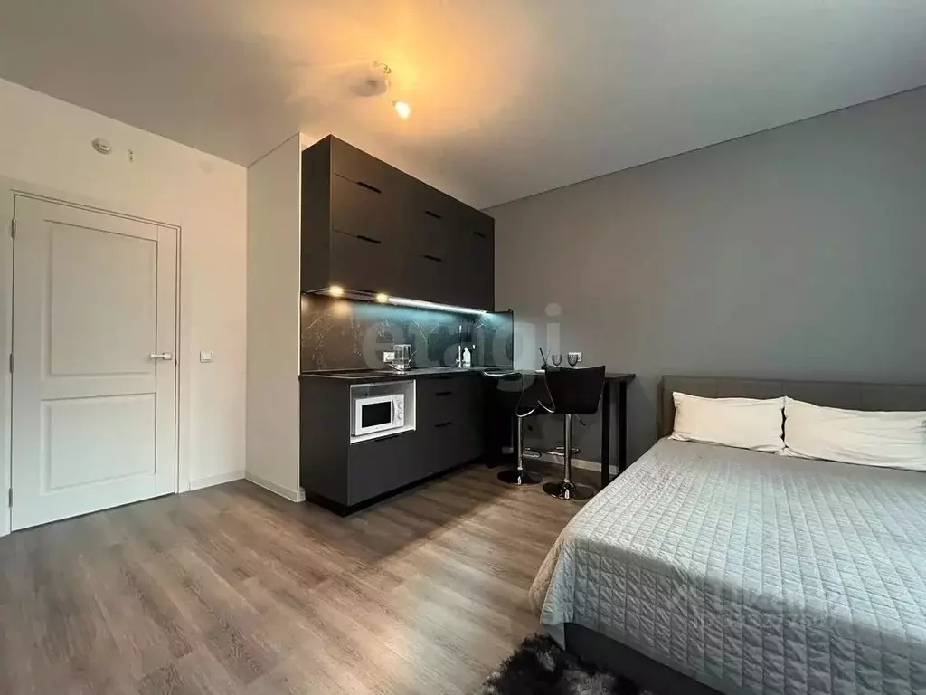 Студия Санкт-Петербург 1-й Предпортовый проезд, 1 (25.1 м) - Фото 2
