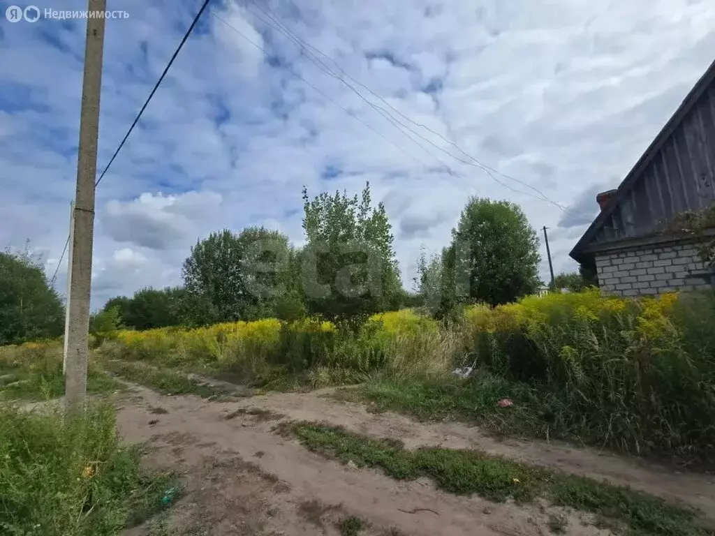 Участок в деревня Добрунь, садоводческое некоммерческое товарищество ... - Фото 2