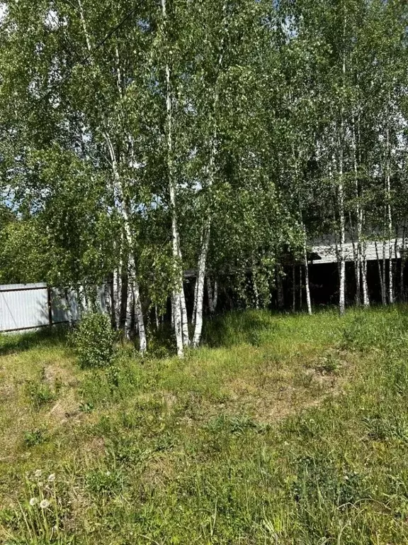 Участок в Ивановская область, Ивановский муниципальный округ, д. ... - Фото 2