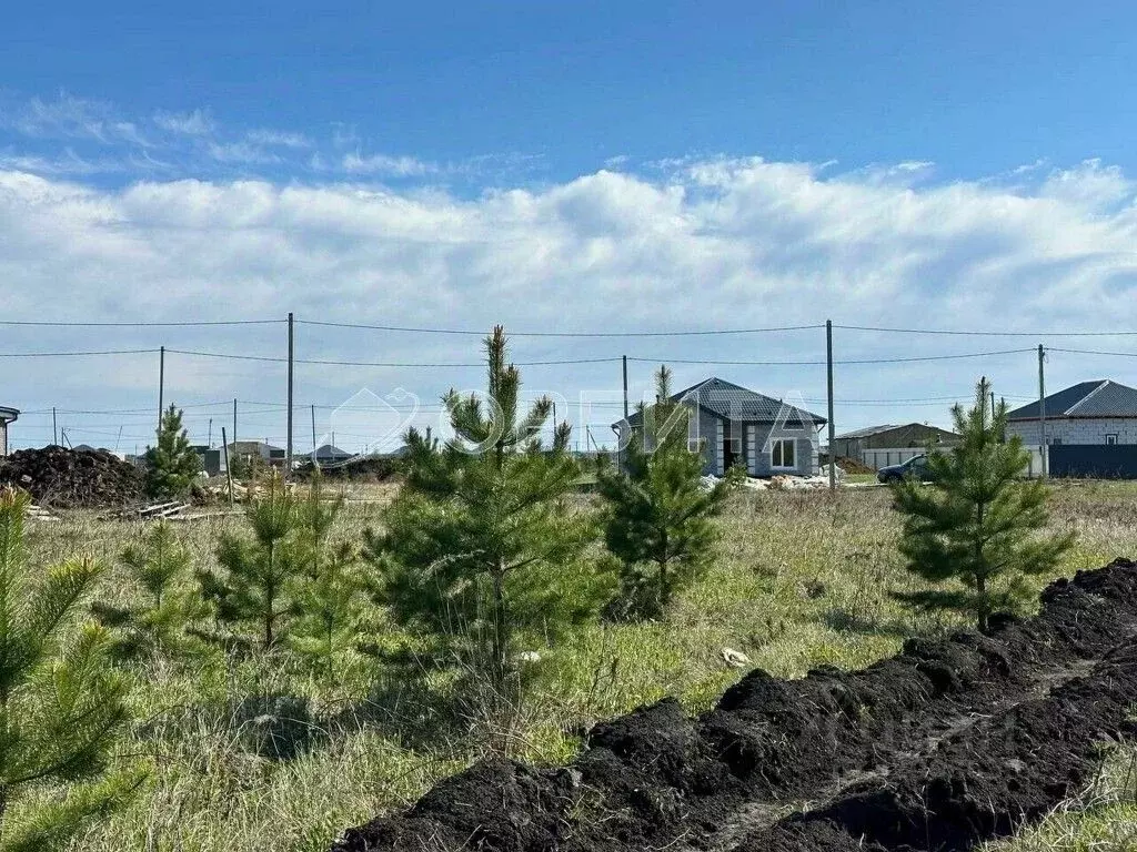 Участок в Тюменская область, Тюменский район, д. Елань, Хвойный кп  ... - Фото 0
