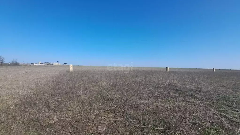 Участок в Крым, Сакский район, Молочненское с/пос, с. Витино  (6.0 ... - Фото 0